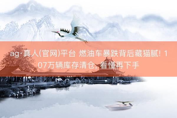 ag·真人(官网)平台 燃油车暴跌背后藏猫腻! 107万辆库存清仓， 看懂再下手