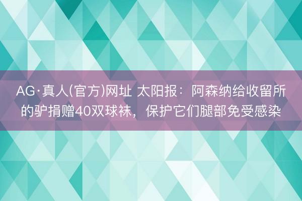 AG·真人(官方)网址 太阳报：阿森纳给收留所的驴捐赠40双球袜，保护它们腿部免受感染
