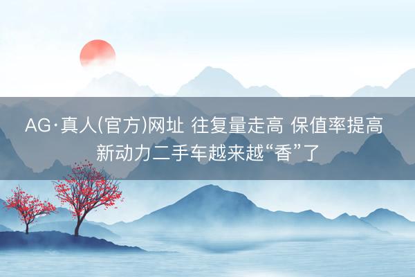 AG·真人(官方)网址 往复量走高 保值率提高 新动力二手车越来越“香”了