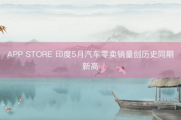 APP STORE 印度5月汽车零卖销量创历史同期新高