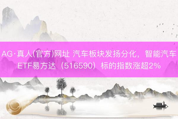 AG·真人(官方)网址 汽车板块发扬分化,智能汽车ETF易方达(516590)标的指数涨超2%