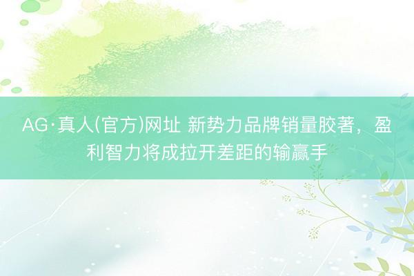 AG·真人(官方)网址 新势力品牌销量胶著，盈利智力将成拉开差距的输赢手