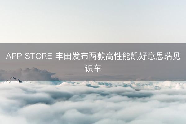 APP STORE 丰田发布两款高性能凯好意思瑞见识车