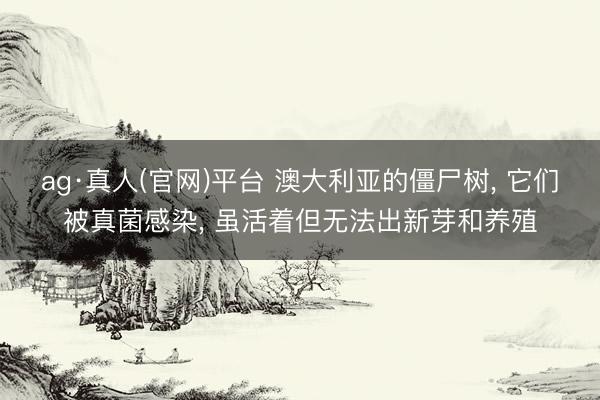 ag·真人(官网)平台 澳大利亚的僵尸树， 它们被真菌感染， 虽活着但无法出新芽和养殖