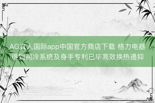AG真人国际app中国官方商店下载 格力电器得到制冷系统及身手专利已毕高效换热遏抑