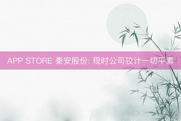 APP STORE 秦安股份: 现时公司狡计一切平素