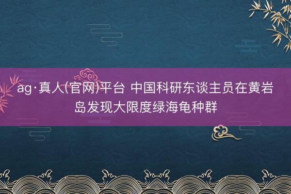 ag·真人(官网)平台 中国科研东谈主员在黄岩岛发现大限度绿海龟种群