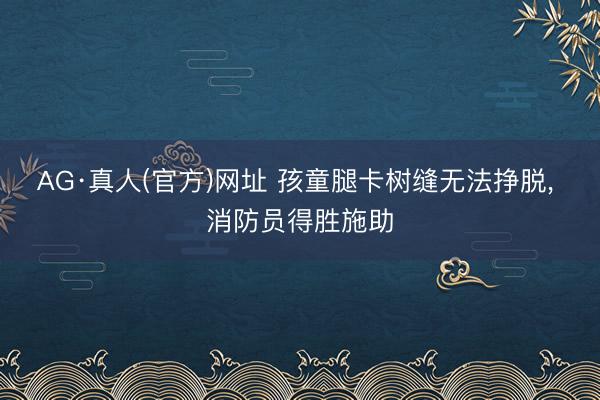 AG·真人(官方)网址 孩童腿卡树缝无法挣脱, 消防员得胜施助
